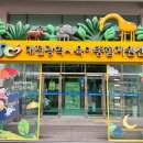 고창군 육아종합지원센타 | 아이 발달에 최고👍 대전 육아종합지원센터 찐후기 대전 육아종합지원센터 후기｜돌아기 실내놀이터 강력...
