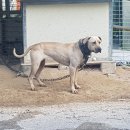 오공이 농장 이미지