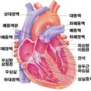 영등포 우신종합 동물병원 이미지