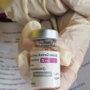 Re: 아스트라제네카부작용 이미지