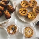 폴스타르트 이미지