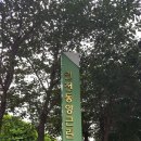 동양근린공원 이미지