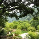 금대에코힐링캠핑장(주차장) 이미지