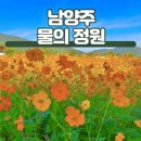 경기도 양평 남양주 여행ㅡ물의 정원 ㅡ황화 코스모스 ㅡ가을 꽃구경 갑니다ㅡ 이미지