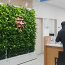 백운동주민센터 이미지