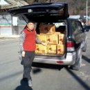 금성농약사 이미지