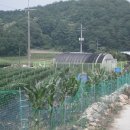 남궁농장 이미지