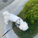 동남시티약국 네이버블로그