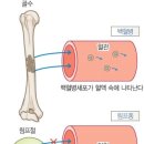 보훈행정사 이미지