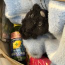 스카이 소프트 이미지