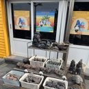 소로3-용두37호선 | [제주] 제주공항 용두암(용연계곡) 횟집 친절하고 맛있는곳 / 광훈이네