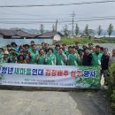 청년모종 이미지