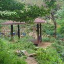 백양산 나들숲길 이미지