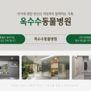 옥수수 동물병원 이미지