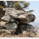 아미산흑염소농장(2) 이미지