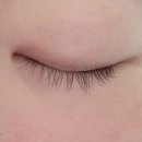 [화정 속눈썹펌] 메이메이 | 무쌍에 어울리는 바짝 올라간 C컬, 손상없이 받은 후기