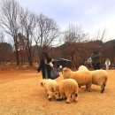 평화모터랜드 | 포천 평강랜드 마이애니멀스토리, 아이랑 서울 근교 나들이 추천