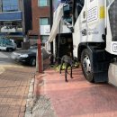 클라쎄디테일링 이미지