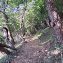 녹산 약수터 이미지