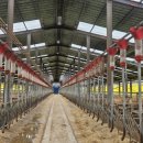 임기만 농장 이미지