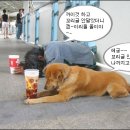 참 이미지