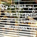 땡큐애견 이미지