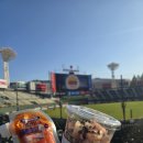 신바다속으로