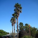 서귀포월드컵경기장 이미지