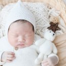 비다움BE:DAUM 이미지