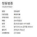 청동 이미지