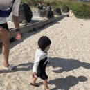 나나목장 이미지