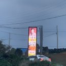 W699 | 월정리W699 펜션 후기