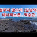 정주지 않으리 (김승덕) 테너색소폰연주 이미지