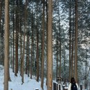 축령산 백련동(추암) 이미지