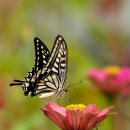 반계초등학교 이미지