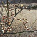 죽전1구 이미지