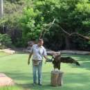 북부코스남부코스 이미지