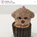 멍멍미식회 이미지