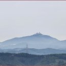 지용산인 이미지