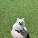 코지독하우스 이미지