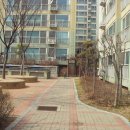 율전 이안(아) 이미지