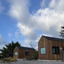 임미임미 이미지