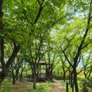 [산청 초광력전의 유래-(4)] 이미지
