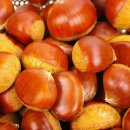 황금약손한의원 이미지