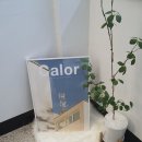 역삼-1488 이미지