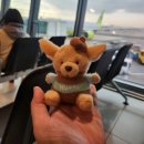 성원카서비스 | 2025.11월 22일~24일 제주도 여행