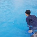 아르떼스파앤풀빌라 이미지