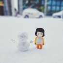 램스스킨