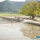 로고스필름(주) 뉴시스