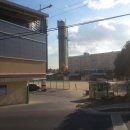 야음초등학교 이미지